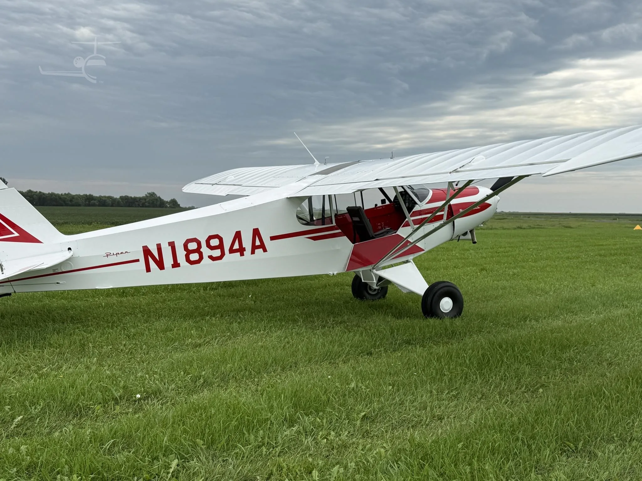 N1894A - 1952 Piper Super CUB