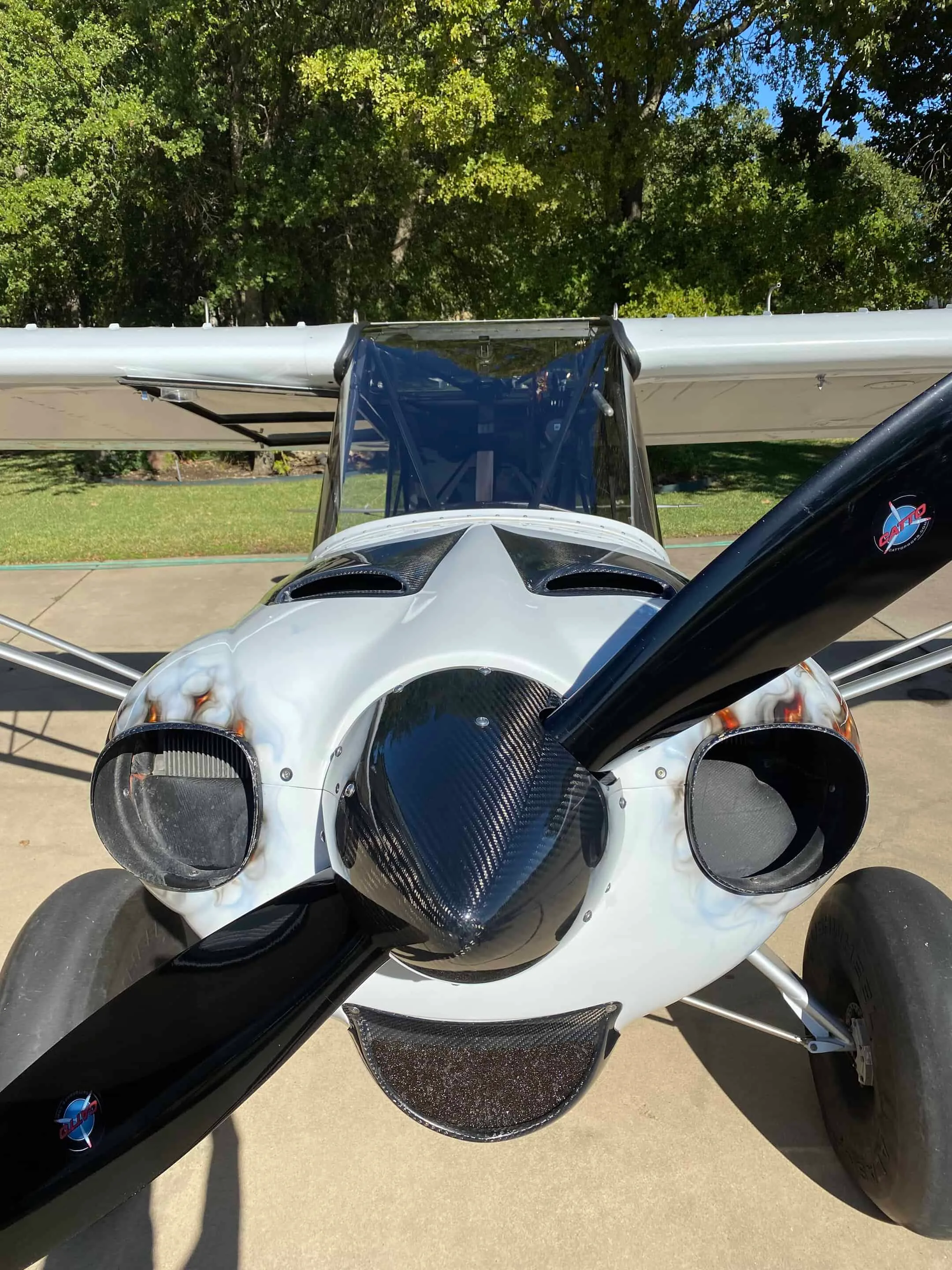 Engine detail of a CubCrafters Carbon Cub SS.
