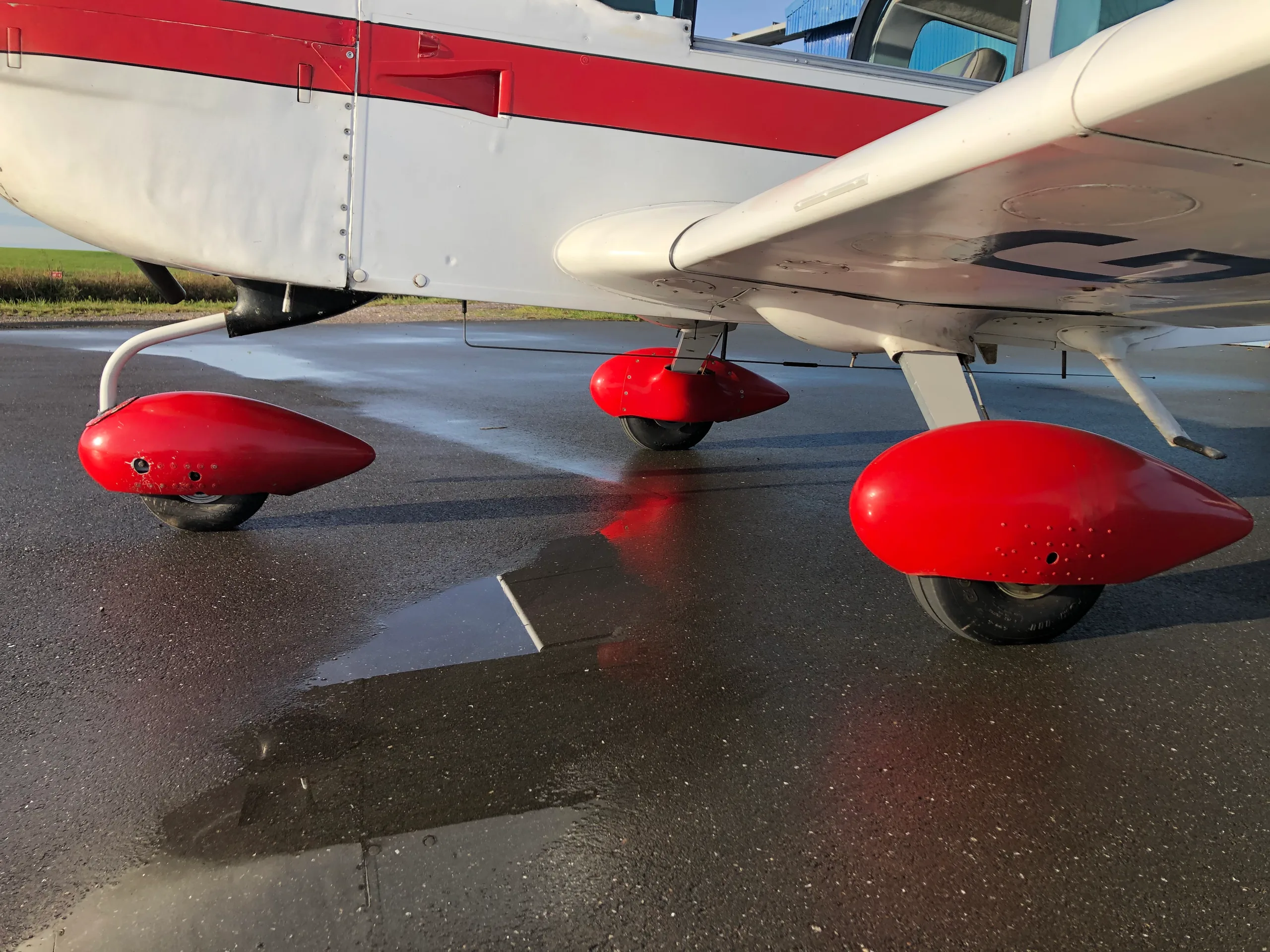 Tiger Moth