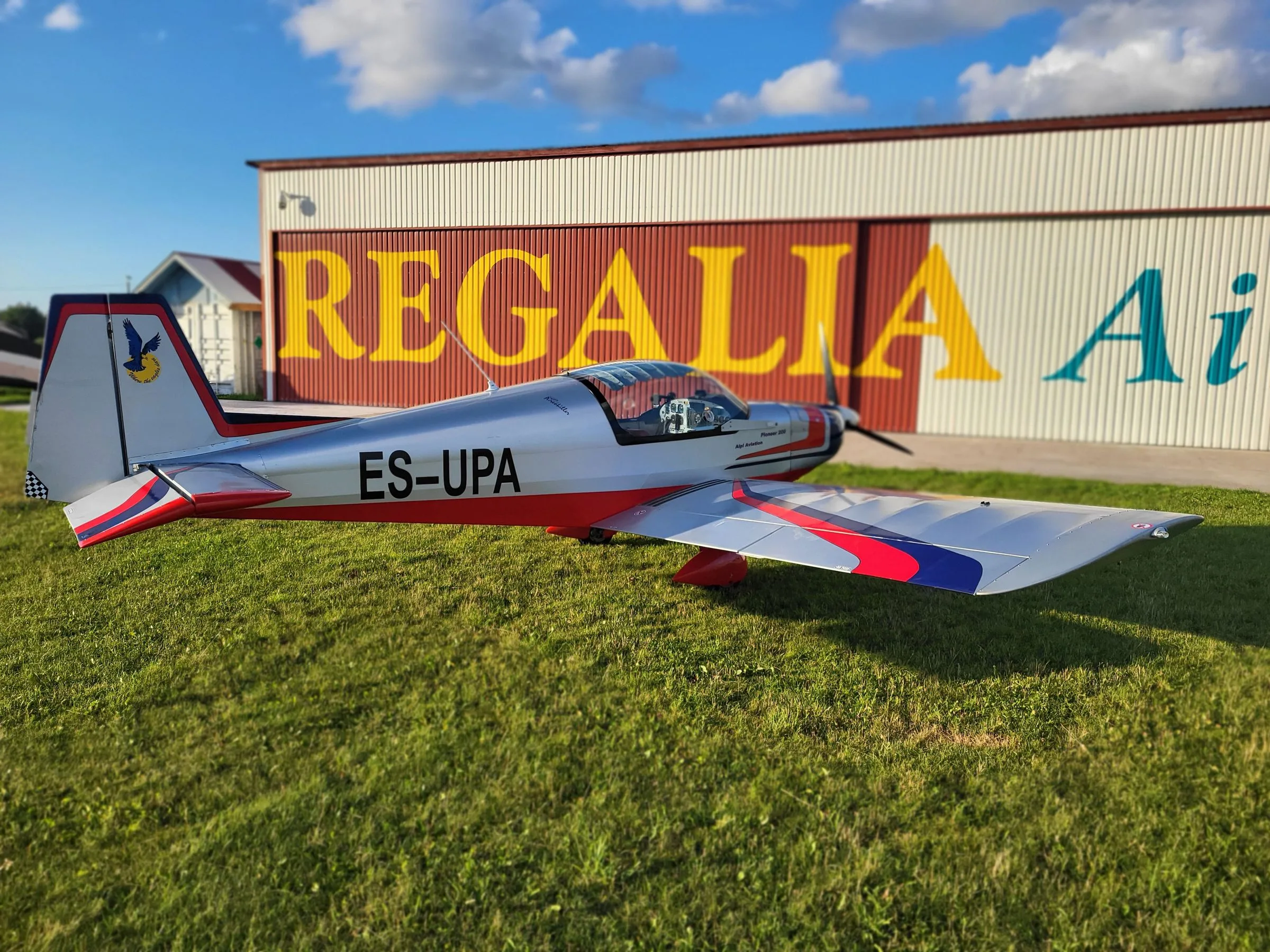Exterior view of a 2001 Alpi Aviation Pioneer 200.