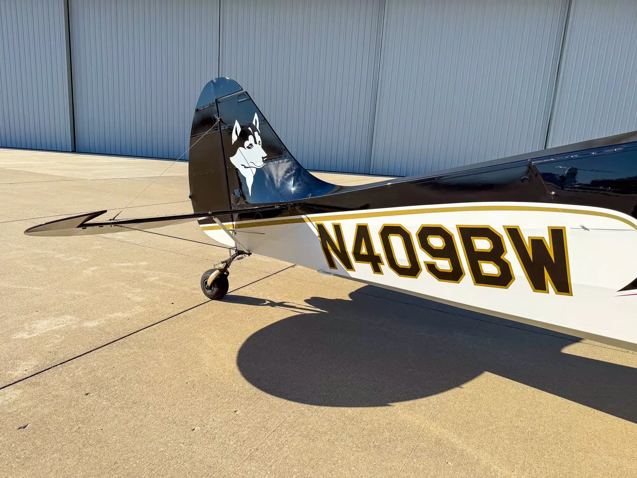 Exterior view of a 2010 Aviat A-1C Husky, N409BW.