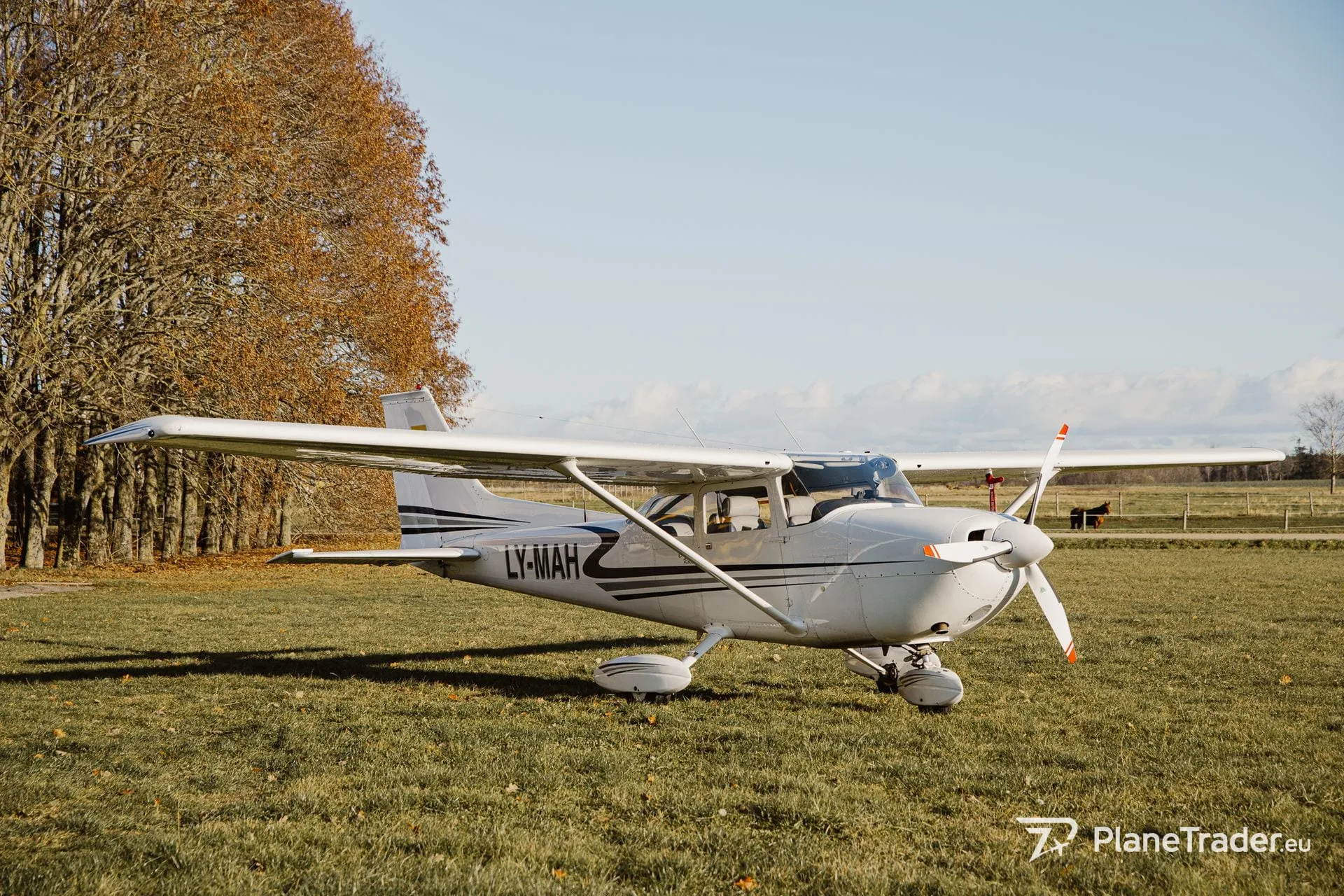 Exterior view of a 1973 Cessna 182 Reims Rocket.