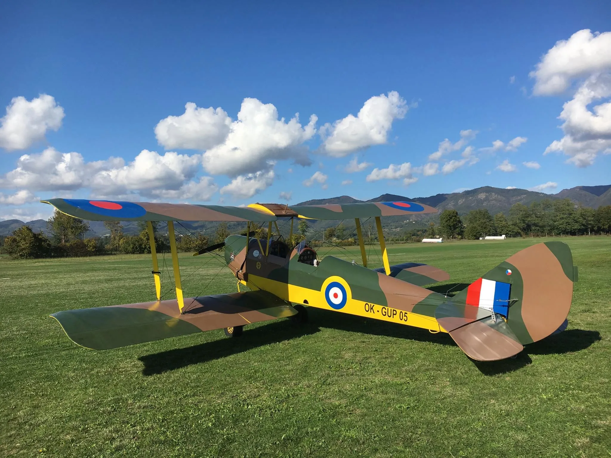 Exterior view of a 2001 de Havilland DH-82 Tiger Moth.