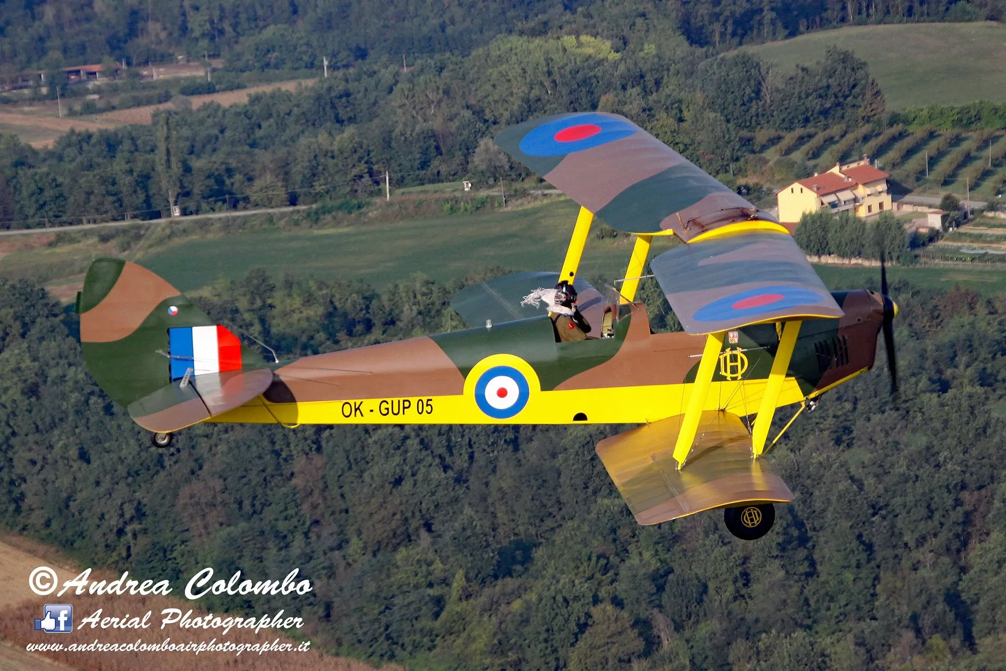 Marketing image of a 2001 de Havilland DH-82 Tiger Moth.