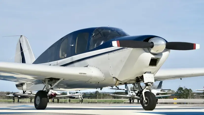 Marketing image of a 1989 Bellanca 17-30A Viking.