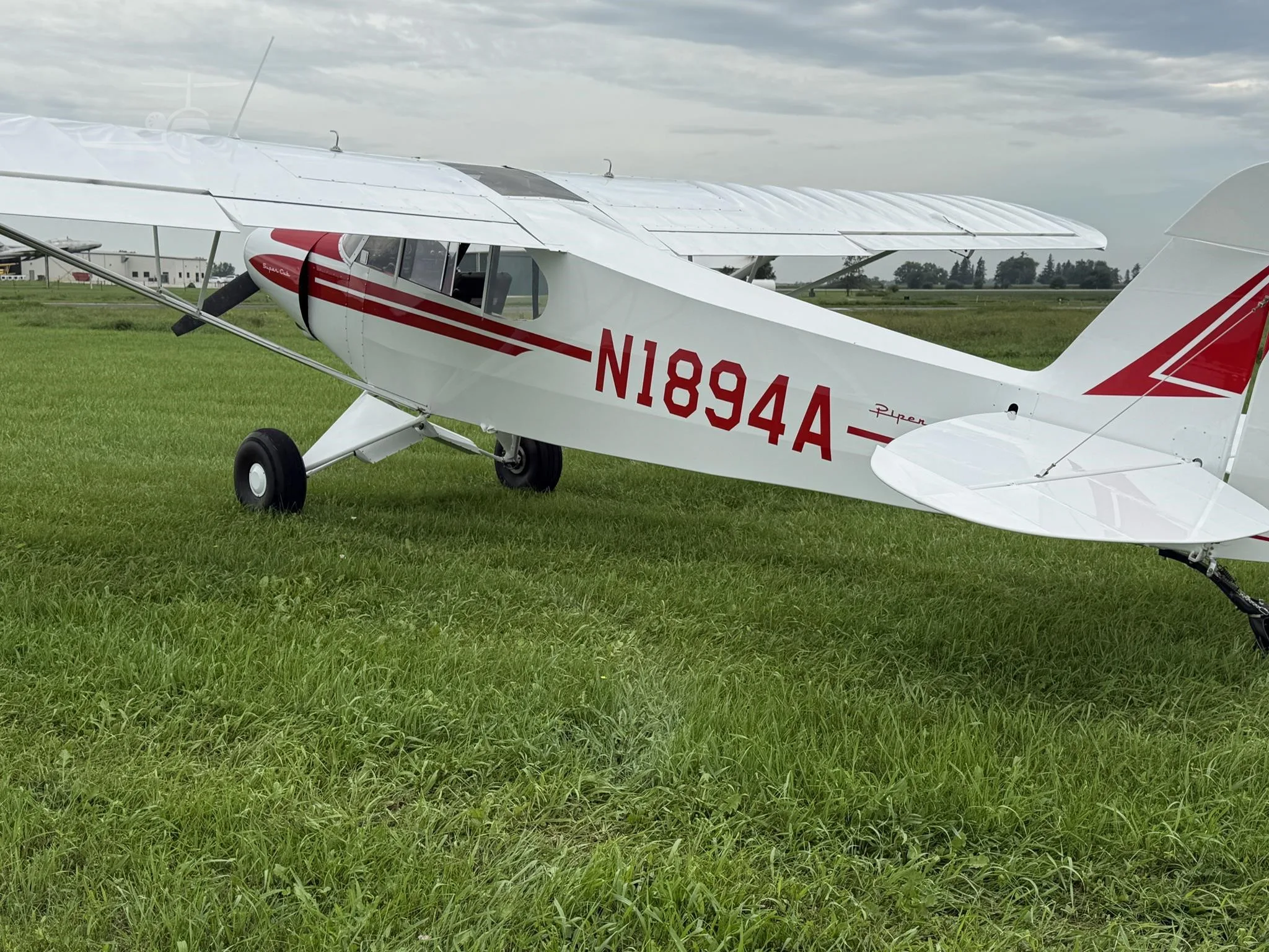 N1894A - 1952 Piper Super CUB