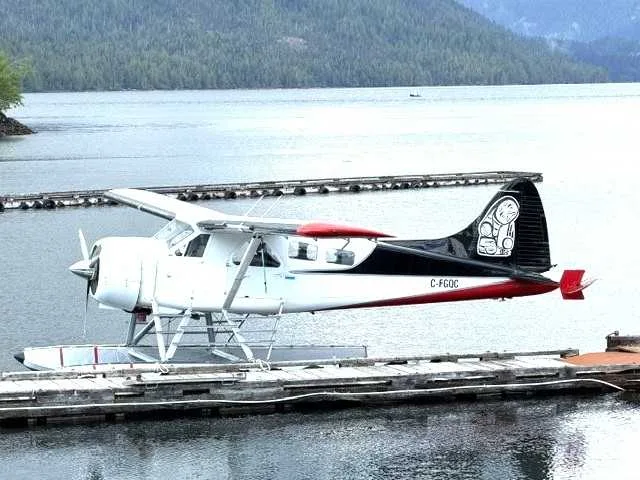 Exterior view of a 1975 Cessna A185F.