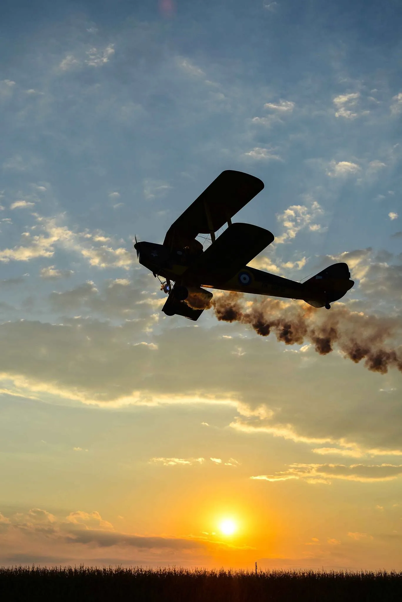 Exterior view of a 2001 de Havilland DH-82 Tiger Moth.