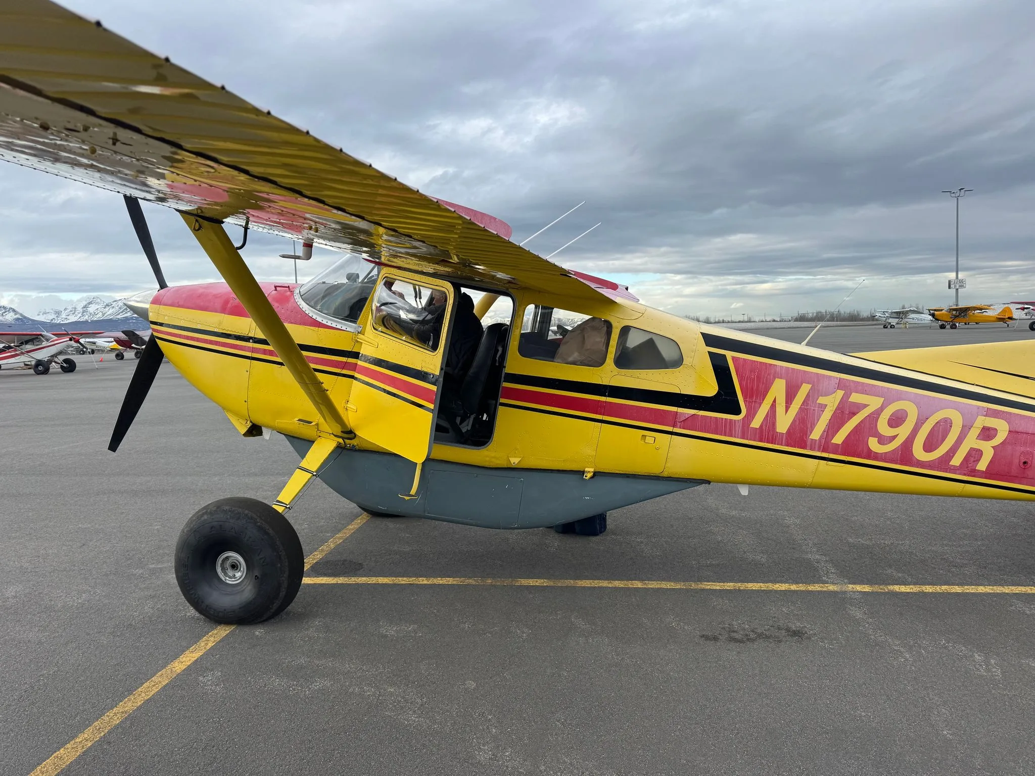 Exterior view of a 1974 CESSNA 185F, N1790R.