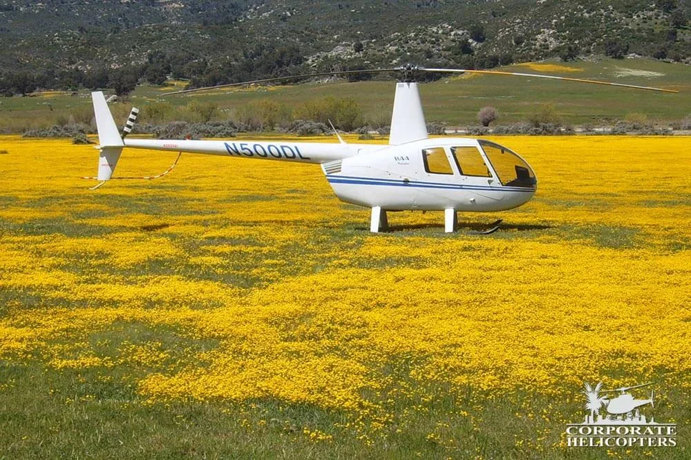 Marketing image of a 2002 Robinson R44 Raven I.
