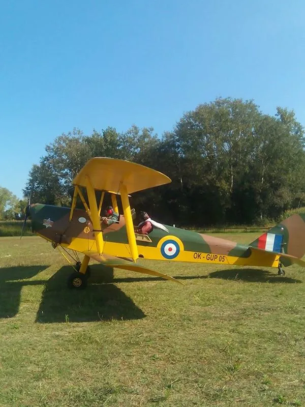 Exterior view of a 2001 de Havilland DH-82 Tiger Moth.
