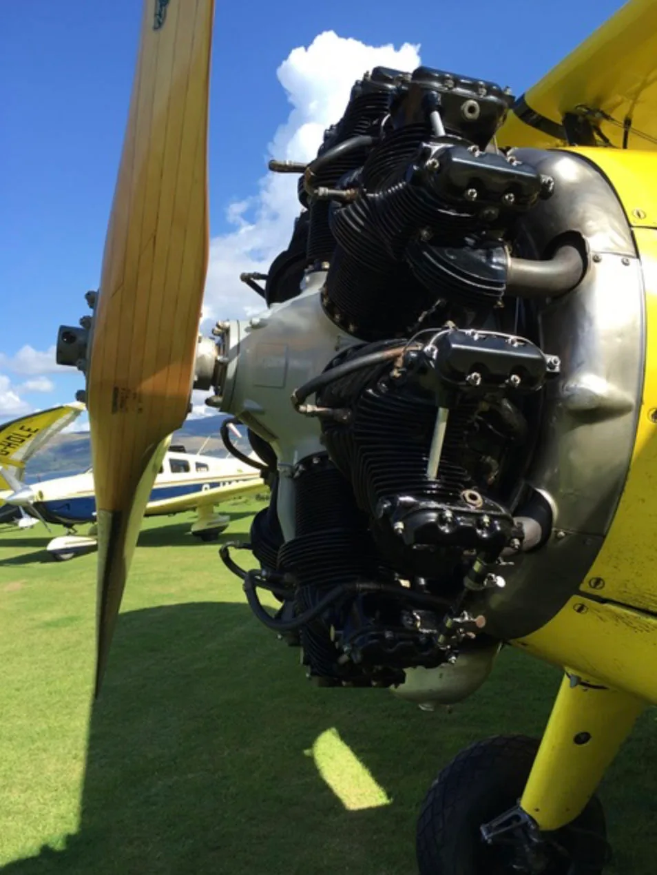 Engine detail of a 1944 Boeing Stearman E75.