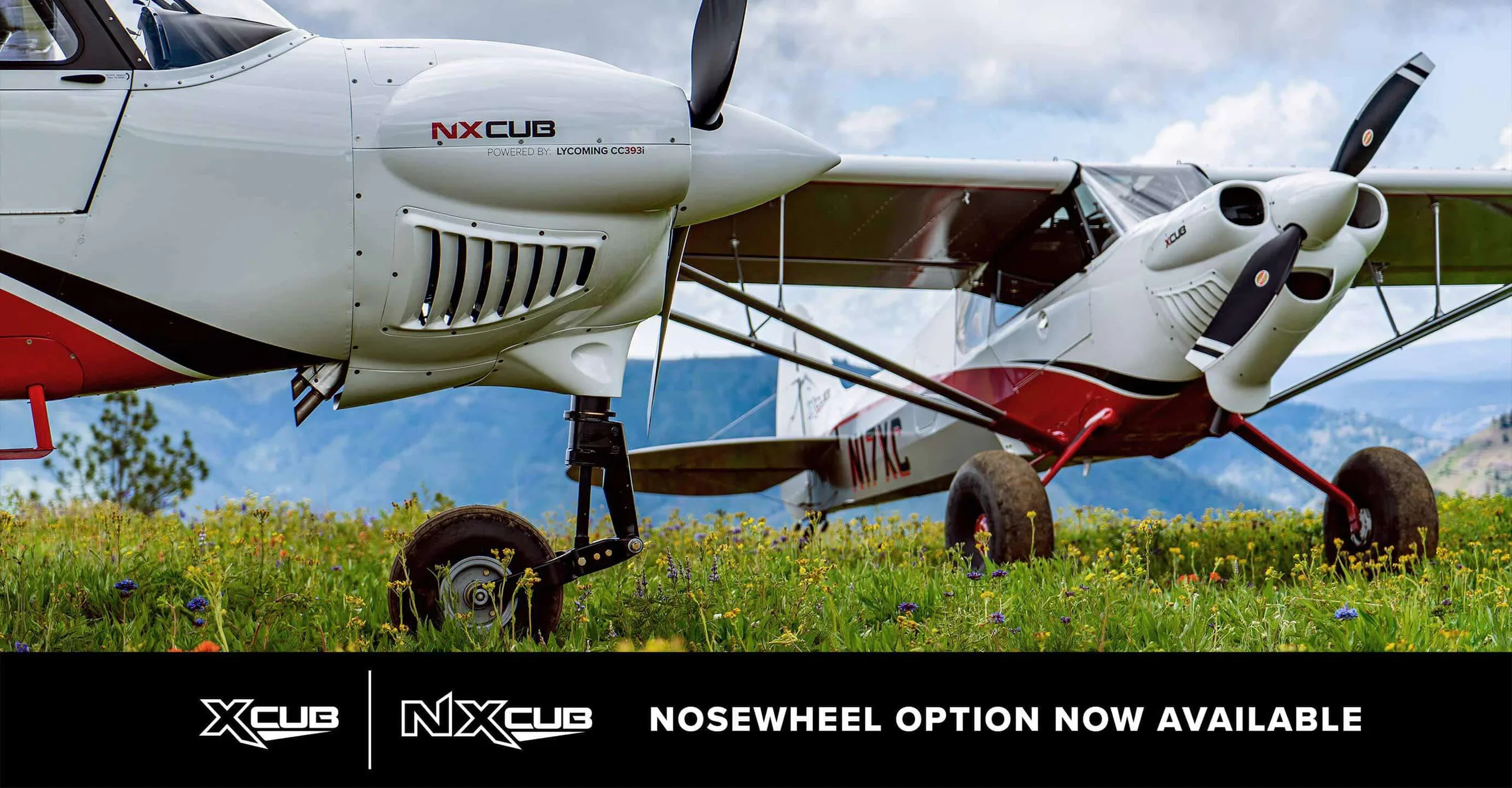 Exterior view of a 2024 CubCrafters New NXCub.
