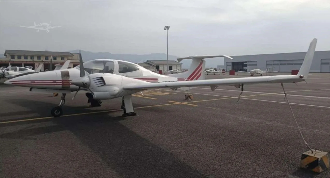 Exterior view of a 2008 DIAMOND DA42.