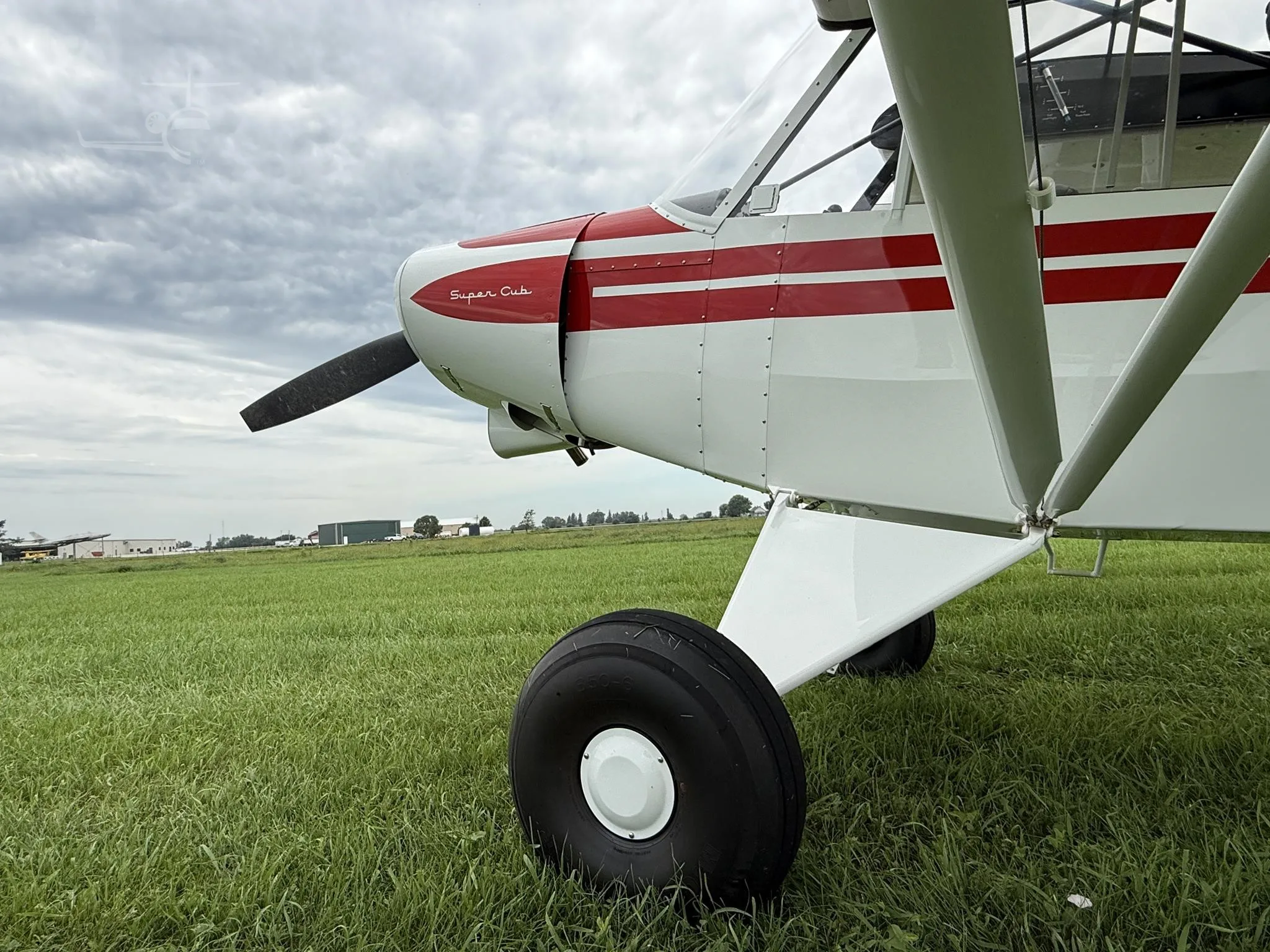 N1894A - 1952 Piper Super CUB